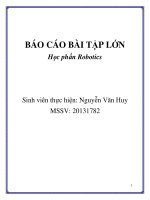 Báo cáo bài tập lớn học phần Robotics