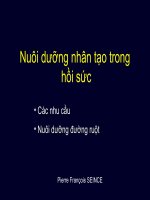 Nuôi dưỡng nhân tạo trong hồi sức 