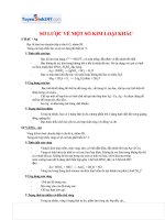 so luoc mot so kim loai khac 