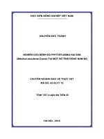 Nghiên cứu bệnh do phytoplasma hại sắn (manihot esculenta crantz) tại một số tỉnh đông nam bộ (TT) 