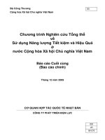 Nghiên cứu Tổng thể về Sử dụng Năng lượng Tiết kiệm và Hiệu Quả ở nước Cộng hòa Xã hội Chủ nghĩa Việt Nam