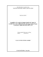 NGHIÊN CỨU MỘT SỐ BIỆN PHÁP KỸ THUẬT CANH TÁC CÂY CHÙM NGÂY (Moringa oleifera Lam.) LÀM RAU THEO HƯỚNG HỮU CƠ