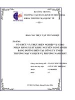 NGHIỆP VỤ GIAO NHẬN HÀNG XUẤT KHẨU NGUYÊN CONTAINER BẰNG ĐƯỜNG BIỂN TẠI CÔNG TY TNHH THƯƠNG MẠI VÀ DỊCH VỤ PHƯƠNG NAM PHÁT Ở CẢNG CÁT LÁI 2016