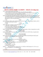 bttn tong hop cacbon silic 