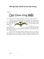 Bài tập thực hành tin học đại cương 1