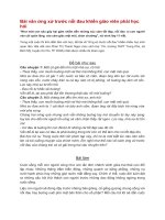 Bài văn ứng xử trước nỗi đau khiến giáo viên phải học hỏi