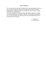 Hoàn thiện hình thức trả lương tại Công Ty Cổ phần Cơ Khí Và Xây Lắp Thái Bình