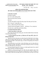 Bao cao thanh tich ca nhan 