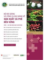 bài giảng sản xuất cà phê bền vững