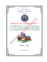 Một số giải pháp thúc đẩy đầu tư phát triển cơ sở hạ tầng giao thông nông thôn ở tỉnh thừa thiên huế từ nay đến năm 2020 
