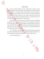 Ứng dụng mô hình VAR để nghiên cứu mối quan hệ giữa tỷ giá hối đoái và cán cân thanh toán quốc tế của việt nam 