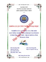 Nghiên cứu tác động của thu hồi đất đến sinh kế người dân ở phường đậu liêu  thị xã hồng lĩnh tỉnh hà tĩnh 