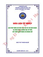 Giải pháp nâng cao hiệu quả cho vay hộ kinh doanh tại ngân hàng TMCP việt nam thịnh vượng chi nhánh huế 