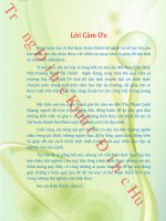 Nghiên cứu chính sách cổ tức của các ngân hàng thương mại niêm yết trên sở giao dịch chứng khoán hồ chí minh 