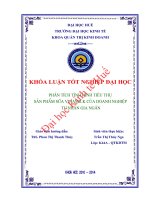 Phân tích tình hình tiêu thụ sản phẩm sữa vinamilk của doanh nghiệp tư nhân gia ngân 