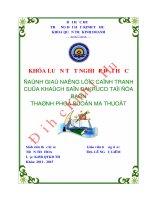 Đánh giá năng lực cạnh tranh của khách sạn dakruco tại địa bàn thành phố buôn ma thuột 