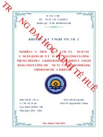 Nghiên cứu ảnh hưởng của chất lượng dịch vụ ngân hàng điện tử đến sự hài lòng và lòng trung thành của khách hàng cá nhân tại ngân hàng TMCP công thương việt nam (vietinbank) chi nhánh thừa thiên huế 