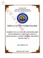 Nghiên cứu các yếu tố ảnh hưởng đến quyết định lựa chọn mua sắm của khách hàng cá nhân tại siêu thị sepon, quảng trị 
