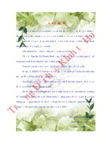 Đánh giá hiệu quả kinh tế sản xuất lúa của các nông hộ ở phường thủy châu, thị xã hương thủy, tỉnh thừa thiên huế 