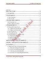 Đánh giá hệ thống kênh phân phối tại thành phố đà nẵng của công ty cổ phần kinh doanh gạch ốp lát viglacera chi nhánh đà nẵng 