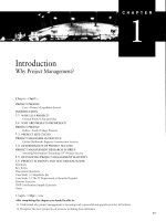 Project management   chapter 1 