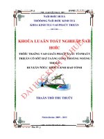 Thực trạng và giải pháp đầu tư phát triển cơ sở hạ tầng giao thông nông thôn huyện đức thọ, tỉnh hà tĩnh 