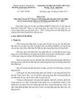 Bao cao tong ket thuc hien CD nang cao CL phat trien VD cho tre MN giai doan 20132016 