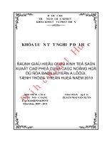 Đánh giá hiệu quả kinh tế sản xuất cà phê của các nông hộ ở địa bàn huyện a lưới, tỉnh thừa thiên huế năm 2010 