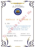 Hoàn thiện chính sách marketing mix đối với sản phẩm rượu shochu của công ty trách nhiệm hữu hạn một thành viên thực phẩm huế 