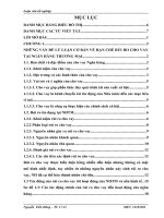 Một số giải pháp nhằm hạn chế rủi ro cho vay tại Ngân hàng TMCP Đầu tư và Phát triển Việt Nam chi nhánh Hai Bà Trưng