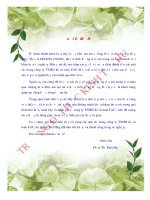 Đánh giá và nâng cao việc vận dụng phù hợp các thủ tục phân tích trong hoạt động kiểm toán khoản mục doanh thu tại công ty TNHH kiểm toán FAC chi nhánh đà nẵng 