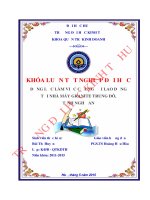 Động lực làm việc của người lao động tại nhà máy granite trung đô, tỉnh nghệ an 