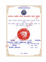 Kế toán quản trị quá trình tiêu thụ và kết quả tiêu thụ tại công ty cổ phần long thọ 