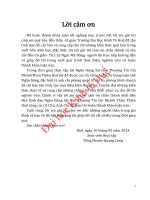 Giải pháp nâng cao chất lượng công tác đánh giá rủi ro trong hoạt động thẩm định dự án vay vốn của doanh nghiệp tại ngân hàng sài gòn thương tín chi nhánh thừa thiên huế 