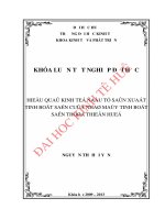 Hiệu quả kinh tế đầu tư sản xuất tinh bột sắn của nhà máy tinh bột sắn thừa thiên huế 