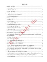 Đánh giá sự hài lòng của khách hàng doanh nghiệp về chất lượng dịch vụ tại ngân hàng phát triển việt nam VDB chi nhánh huế 