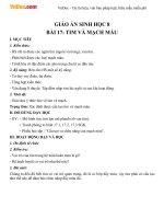 Giáo án Sinh học 8 bài Tim và mạch máu