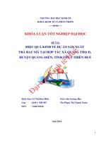 Hiệu quả kinh tế dự án sản xuất trà rau má ở hợp tác xã quảng thọ II, huyện quảng điền, tỉnh thừa thiên huế 