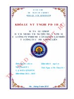 Một số giải pháp đẩy mạnh hoạt động tiêu thụ sản phẩm của công ty trách nhiệm hữu hạn thức ăn gia súc lái thiêu tại công ty cổ phần hùng liên 