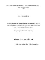 Giải pháp hạn chế rủi ro trong hoạt động cho vay tại Ngân hàng TMCP Đầu tư và Phát triển Việt Nam BIDV  Chi nhánh sở giao dịch 3
