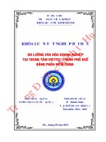 Đo lường văn hóa doanh nghiệp tại trung tâm VIETTEL thành phố huế bằng phần mềm CHMA 