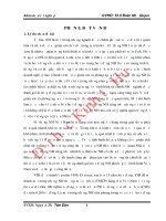 Ứng dụng mô hình CAMELS vào phân tích hoạt động và rủi ro tại ngân hàng thương mại cổ phần quốc tế việt nam VIB 
