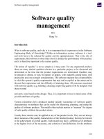 Software quality management 