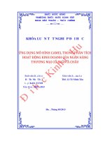 Ứng dụng mô hình CAMEL trong phân tích hoạt động kinh doanh của ngân hàng thương mại cổ phần á châu 