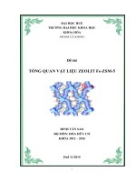 TỔNG QUAN VẬT LIỆU XÚC TÁC  ZSM5