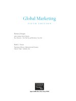 2008   global marketing   keegan 5e 