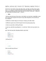 BIẾN, HẰNG số, TOÁN tử TRONG OBJECTIVE c 