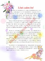 Thực trạng thu hút và sử dụng nguồn vốn hỗ trợ phát triển chính thức (ODA) của tỉnh thừa thiên huế 