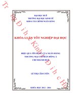 Hiệu quả hoạt động tín dụng của ngân hàng thương mại cổ phần đông á chi nhánh huế 