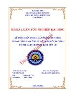 Kế toán tiền lương và các khoản trích theo lương tại công ty CP môi trường đô thị và dịch vụ du lịch cửa lò 